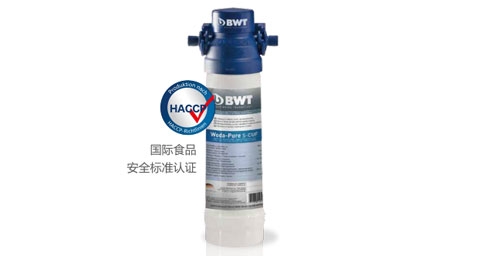 BWT Woda-Pure s超能系列草莓视频IOS版官网器