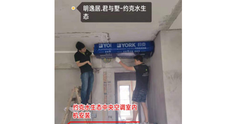 约克草莓视频网页版两联供